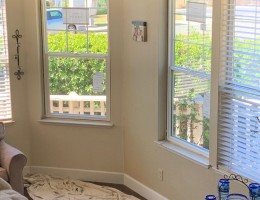 Single Hung Windows